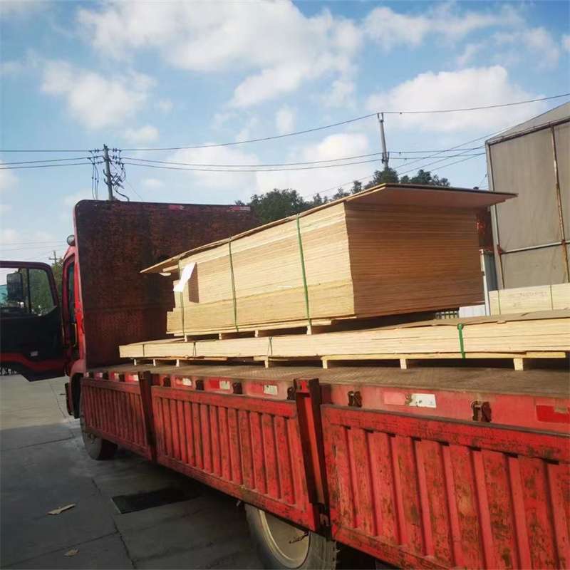 象山区通化市物流运输：多元服务与高效线路探秘